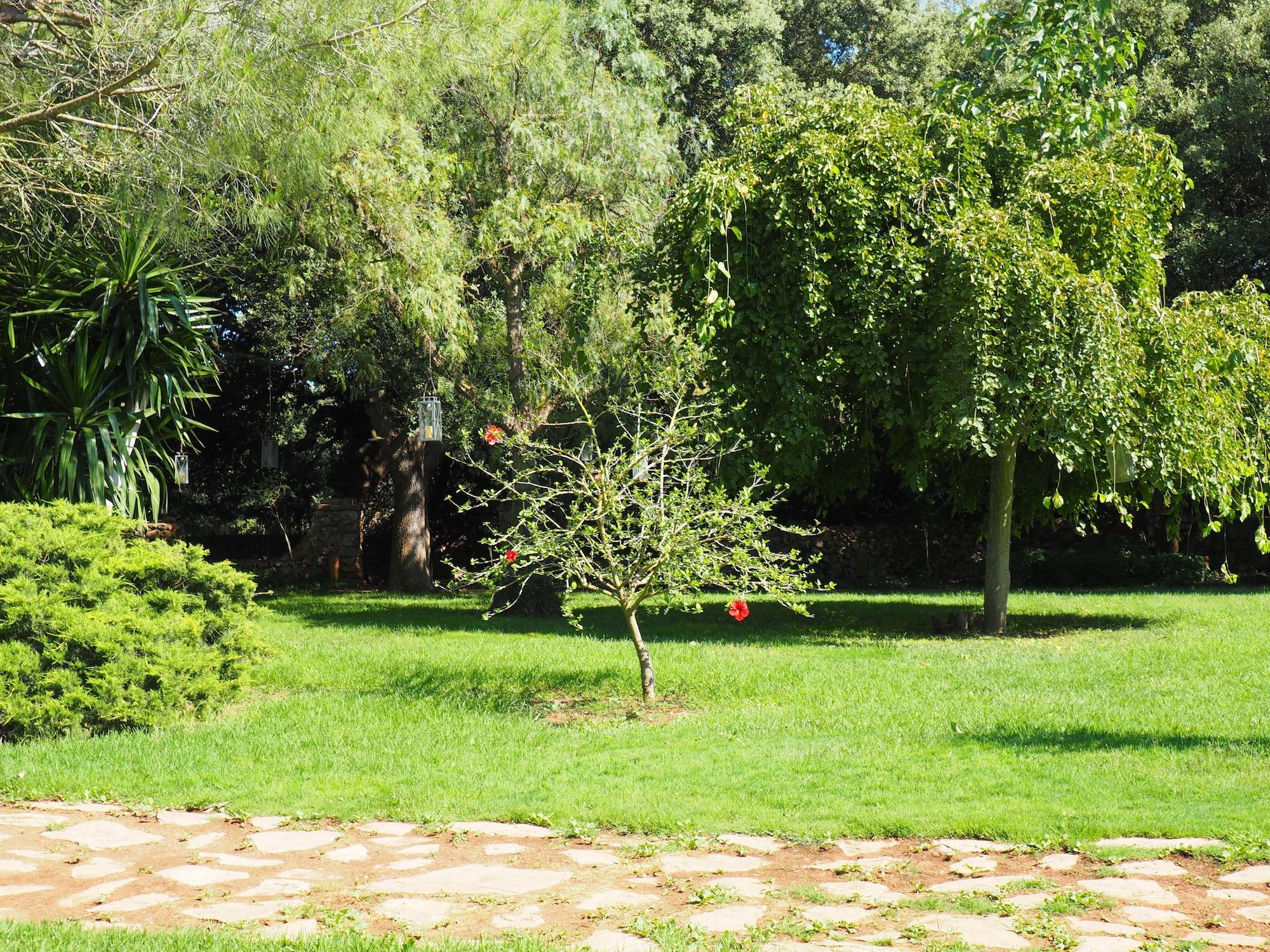Son Mercadal Porreres Dış mekan fotoğraf